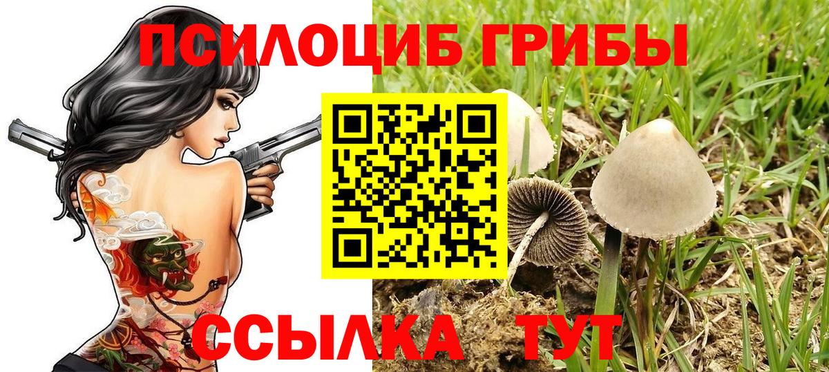 Псилоцибиновые грибы Magic Shrooms  Псилоцибиновые грибы Psilocybe  Тихвин  Вход с VPN 